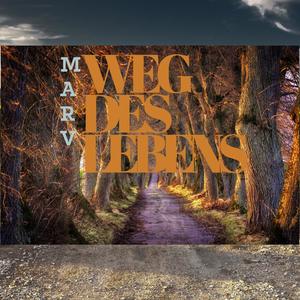 Weg des Lebens (SID BEATZ Remix) [Explicit]