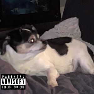 Joshy - bros over h0es