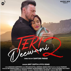 Teri Deewani 2