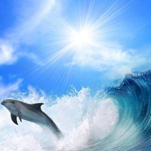 曾生为人 / 人間だった