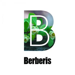 Moiwa (Original Mix)