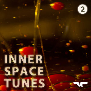 Inner Space Tunes, Vol. 2