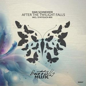 After the twilight falls (Syntouch Remix)