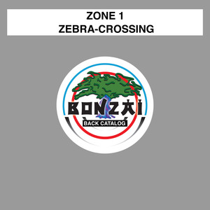 Zebra-Crossing