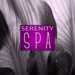 Serenity Spa – Spa Relaxation, New Age Music to Spa, Chakra Balancing, Spirituality, Morning Prayer, Mantras, Relaxation, Sleep Meditation