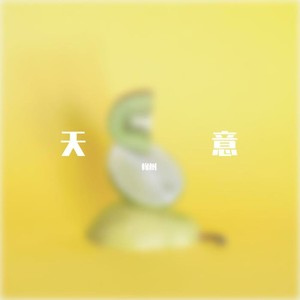 天意demo