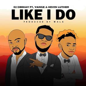 Like I Do (feat. Dj Deekay & Kevin Luther) (Explicit)