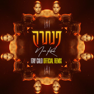 פנתרה (Itay Galo Official Remix)