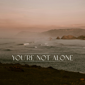 You're Not Alone (&friends Extended Remix)