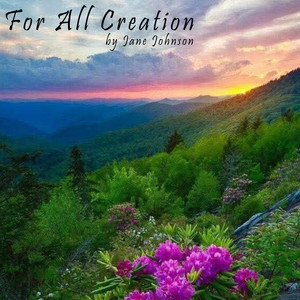 Jane Johnson - The Evidence