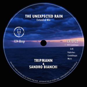 The Unexpected Rain (Extended Mix)