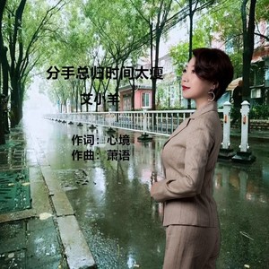 分手总归时间太瘦 (伴奏)