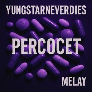 PERCOCET (feat. Melay & PradaMadeit) (Explicit)