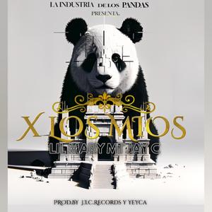 X Los Mios (feat. MT & Jay C) [Explicit]