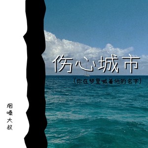 伤心城市(你在梦里喊着他的名字)封面
