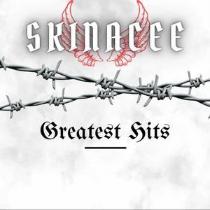 Skinacee (Greatest hits) [Explicit]