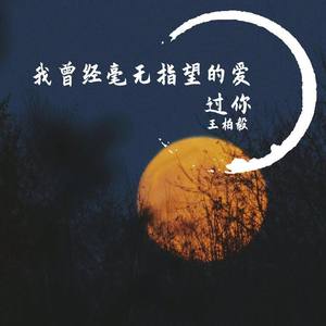 我曾经毫无指望的爱过你