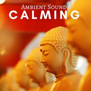 Calming: Liquid Night Music for Deep Sleep, Calm the Mind before Sleeping, Ambient Sounds