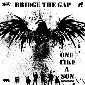 Bridge the Gap