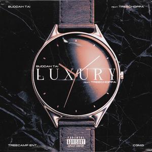 Luxury(feat. TREECHOPPA) (Explicit)