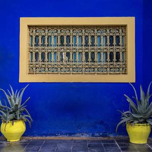 Majorelle Blue