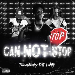 Can Not Stop (feat. SelfMadeLuhTy x Tweak Baby) [Explicit]