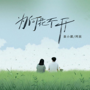 袁小葳 - 为何花不开 (伴奏)