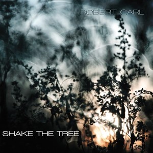 CARL, R.: Shake the Tree / Braided Bagatelles / Piano Sonata No. 2, "The Big Room" (Berman, Eggert, Eryilmaz, McDonald)