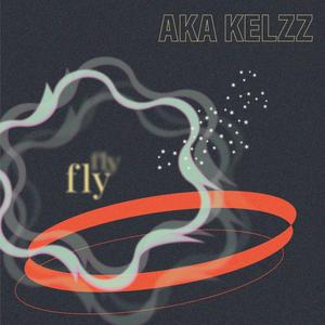 FLY (Explicit)