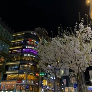 northside (feat. redd her mind) (Explicit)