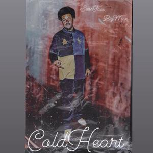 Cold Heart (Explicit)