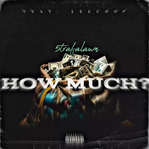 HOW MUCH (feat. LUL COOP) [Explicit]