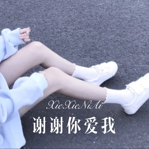 谢谢你爱我 (Remix)