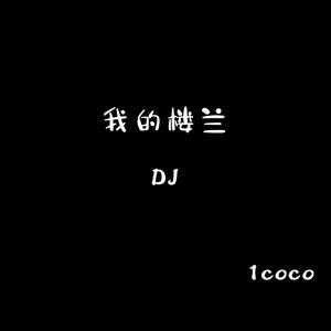我的楼兰 (DJ版)