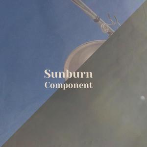 Sunburn Component