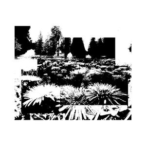 DandelionS (Explicit)