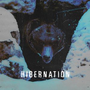 Hibernation (Explicit)