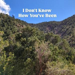 I Don't Know How You've Been (feat. Will Petersen)