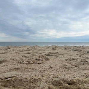 What Seven Dreams Do