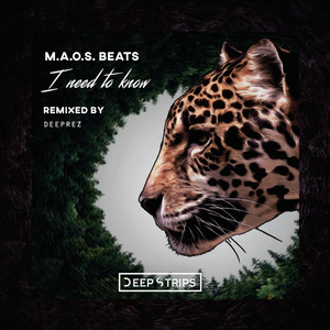 I Need To Know (Original Mix)