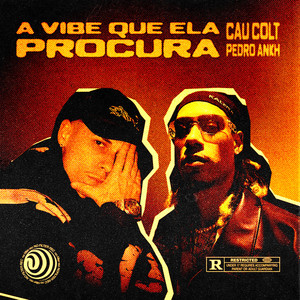 A VIBE QUE ELA PROCURA (Explicit)