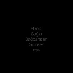 Hangi Bağın Bağbanısan Gülüsen (feat. İlker Akyol)