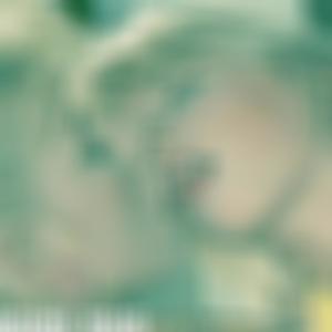 Mink Rug (Explicit)