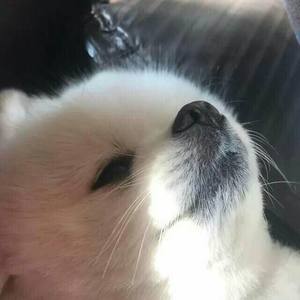 尽管有时候不清醒以为忘了她