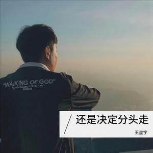 还是决定分头走