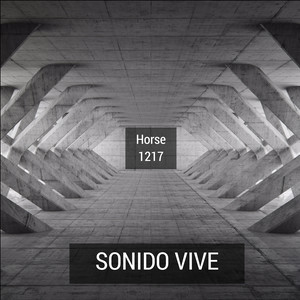 Sonido Vive