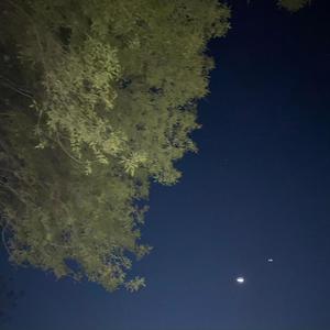 Can't Hold Me Down(feat. Lil Azul) (Explicit)