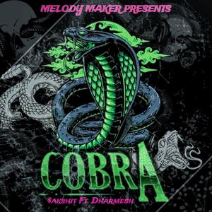 COBRA (feat. Dharmesh Yadav) [Explicit]