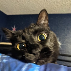 where u at (Explicit)