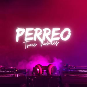 Perreo